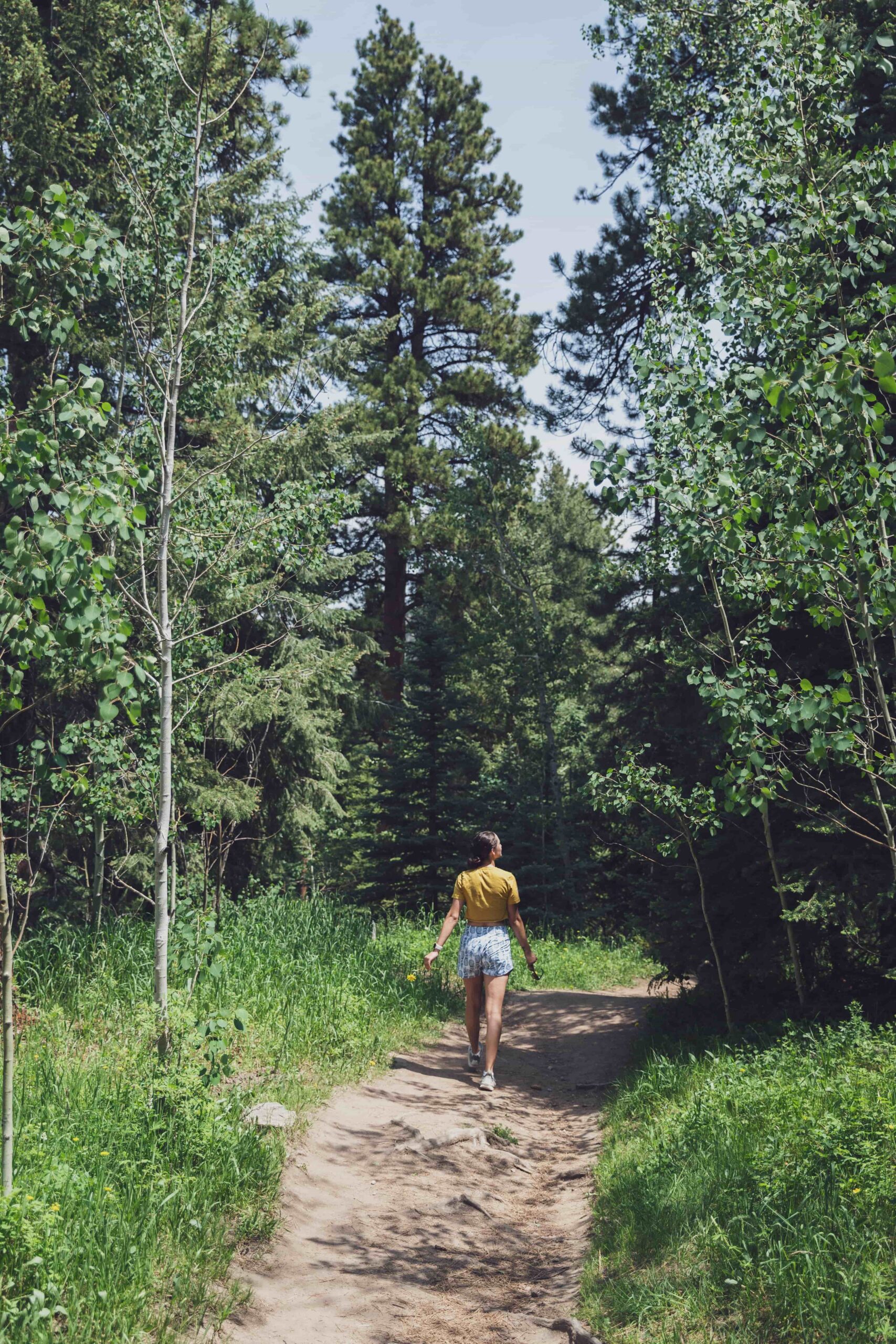 Person walking on forest path