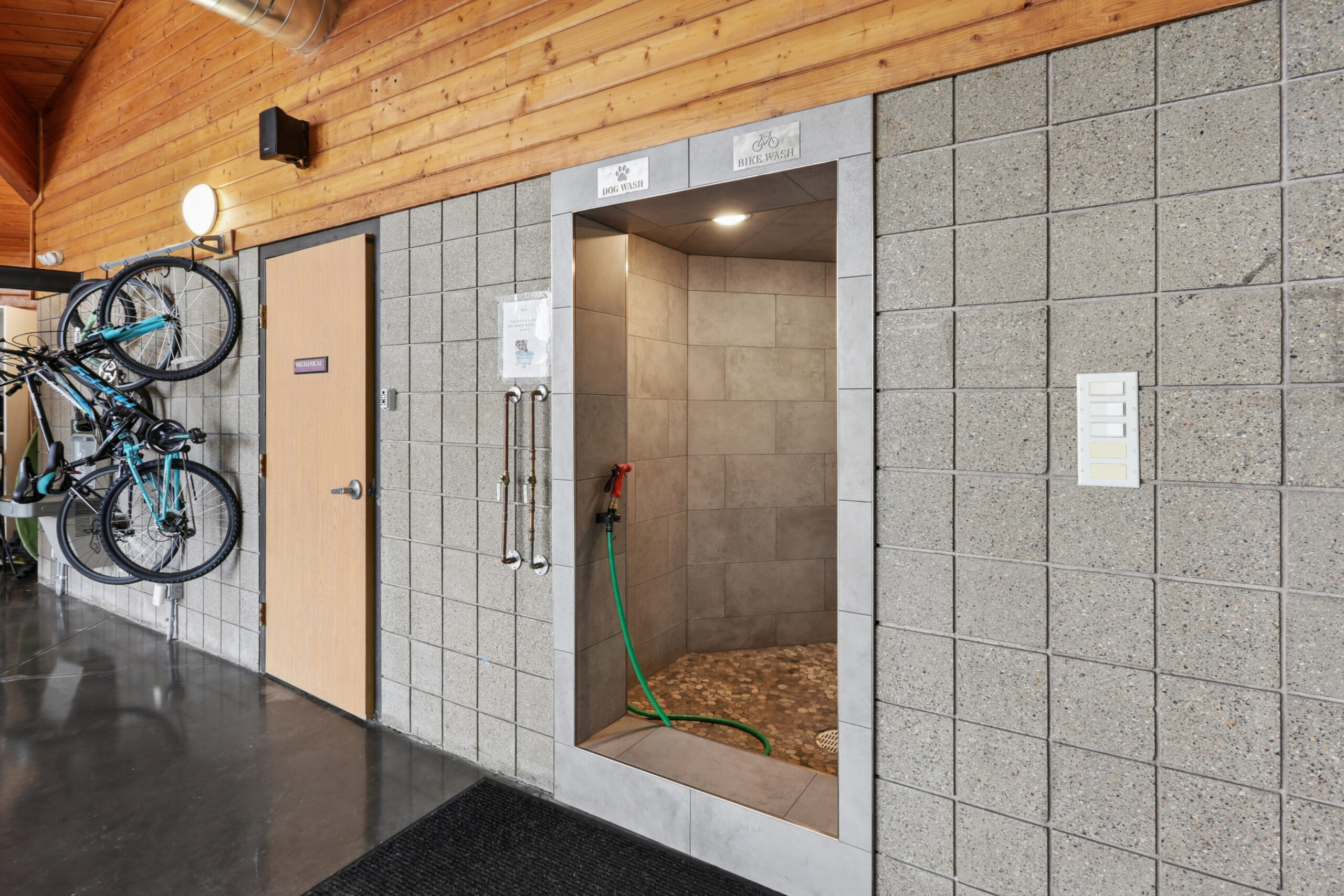 Indoor dog and bike wash station