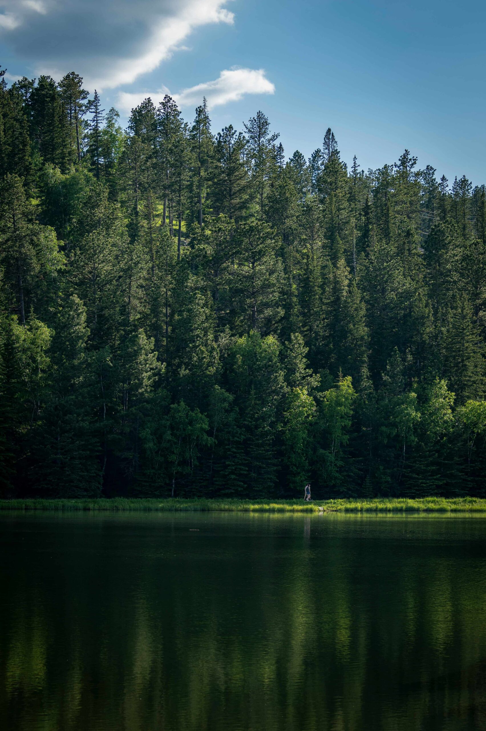 Serene lake surrounded by lush forest